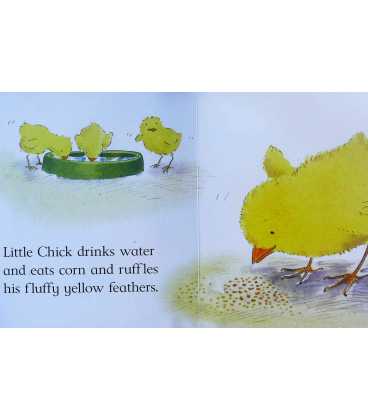 Little Chick (Little animals) Inside Page 2