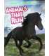 Animals That Run