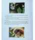 The Princess and the Frog Inside Page 1