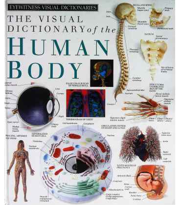 The Visual Dictionary of The Human Body