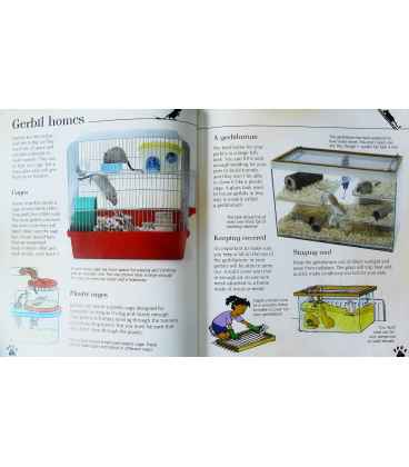 Gerbils Inside Page 2