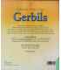 Gerbils Back Cover