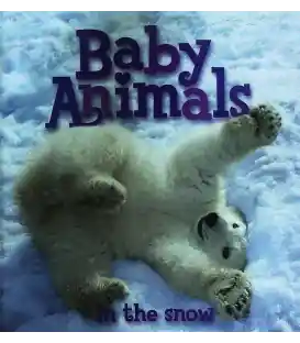 Baby Animals In The Snow