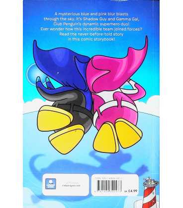 Shadow Guy and Gama Gal Heroes Unite Back Cover