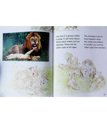 What's It Like To Be A Baby Lion Inside Page 2