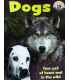 Dogs