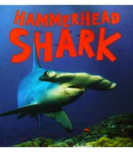 Discover Sharks: Hammerhead Shark