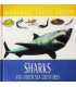 Fantastic Facts about Sharks and Other Sea Creatures