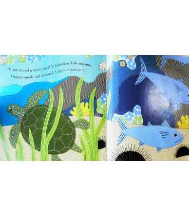 Secret Seahorse Inside Page 2