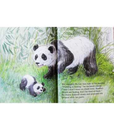 Baby Panda Inside Page 1