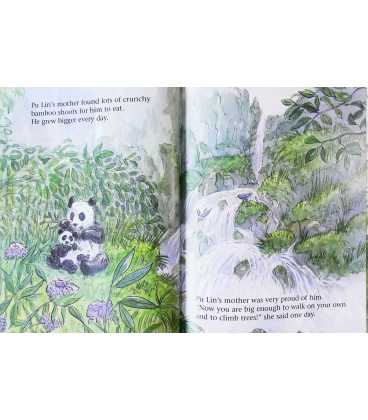 Baby Panda Inside Page 2