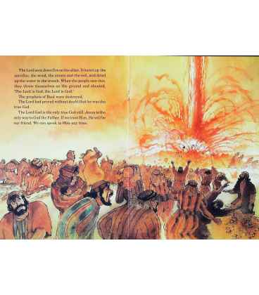 God's Miracle Man (Bible Wise) Inside Page 1
