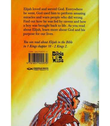 God's Miracle Man (Bible Wise) Back Cover