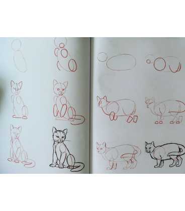 Draw 50 Animals Inside Page 1