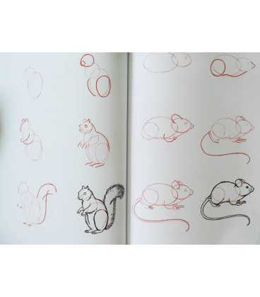 Draw 50 Animals Inside Page 2