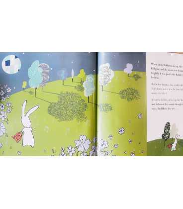 Moon Rabbit Inside Page 2