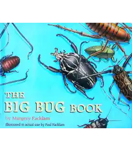 The Big Bug Book