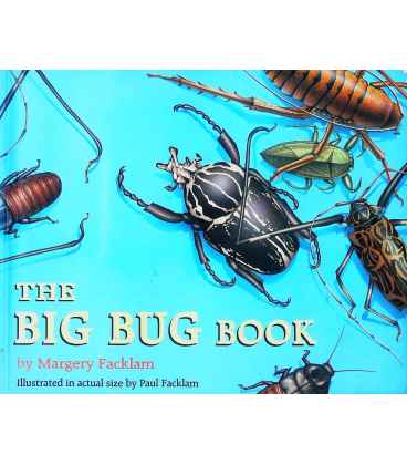 The Big Bug Book