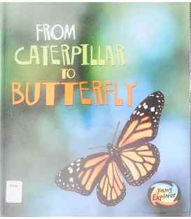 From Caterpillar to Butterfly