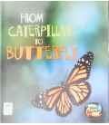 From Caterpillar to Butterfly