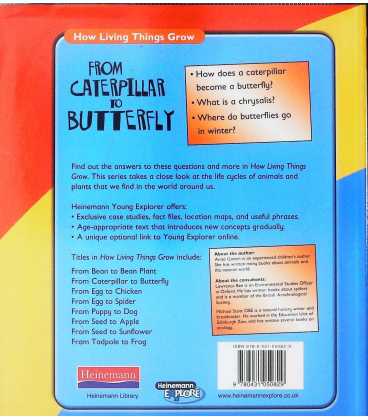 From Caterpillar to Butterfly Back Cover