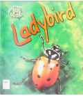 Ladybird (Bug Books)