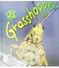 Grasshopper