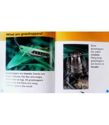 Grasshopper Inside Page 2