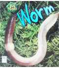 Worm (Bug Books)