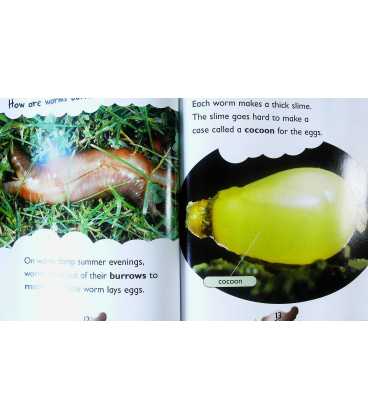 Worm (Bug Books) Inside Page 1