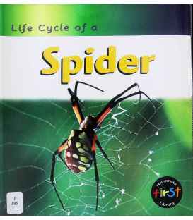 Life Cycle of a Spider