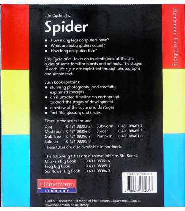 Life Cycle of a Spider Back Cover