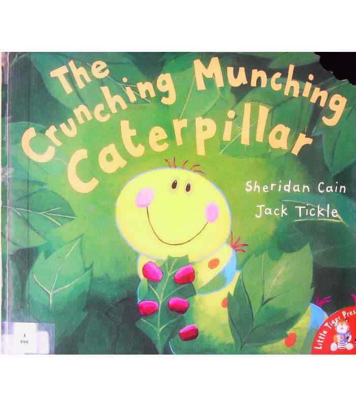 The Crunching Munching Caterpillar, Read a loud stories, Children's  stories