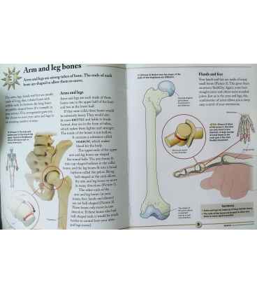 Moving and Growing Inside Page 1