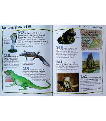 500 Facts Animals Inside Page 1