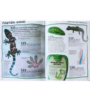 500 Facts Animals Inside Page 2
