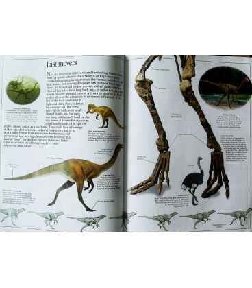 Dinosaur (Eyewitness) Inside Page 2