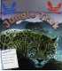 Jungle Trek (Fold Out Poster Books)