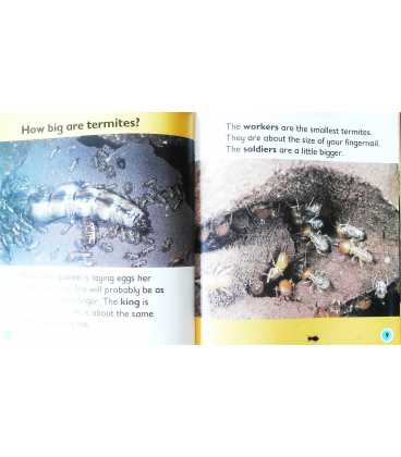 Termite (Bug Books) Inside Page 2