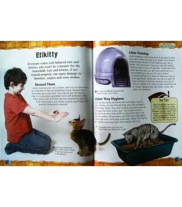 Caring for Cats and Kittens Inside Page 1