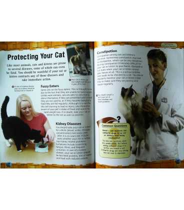 Caring for Cats and Kittens Inside Page 2
