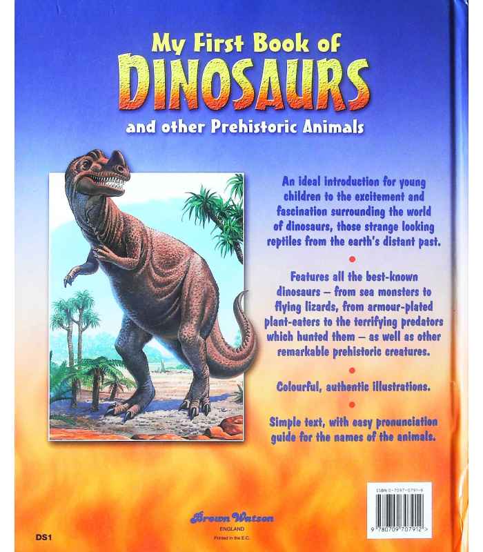 my first book of dinosaur stories
