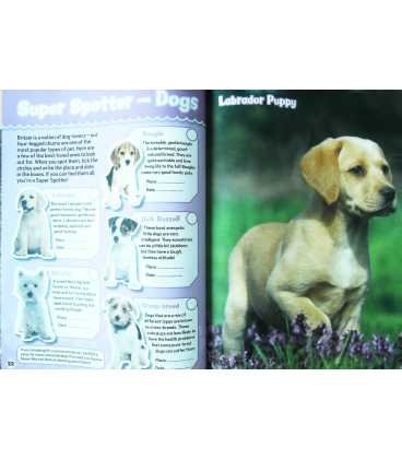 RSPCA Annual 2014 Inside Page 2