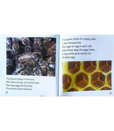 Bees Inside Page 2