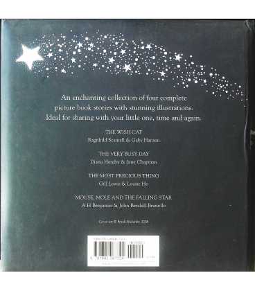A Very Special Wish Back Cover