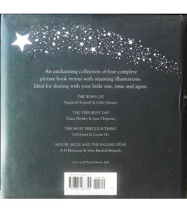 A Very Special Wish Back Cover