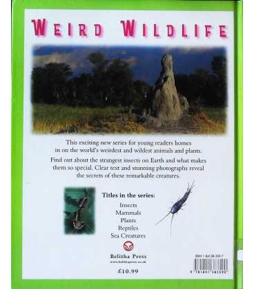 Insects (Weird Wildlife) Back Cover