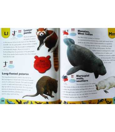 Endangered Animals Dictionary Inside Page 1