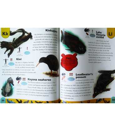 Endangered Animals Dictionary Inside Page 2