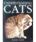 Understanding Cats